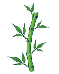 Green Bamboo Stalk with Leaves: Natural Plant Element.
