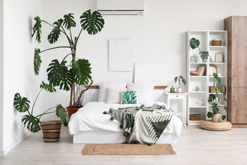 Monstera houseplants in interior of modern bedroom