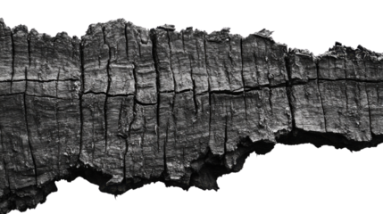 Close-Up of Tree Bark Texture with Natural Grooves and Detailed Surface for Nature or Wood Products Concept