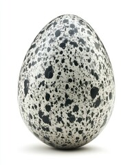 Spotted egg (1)