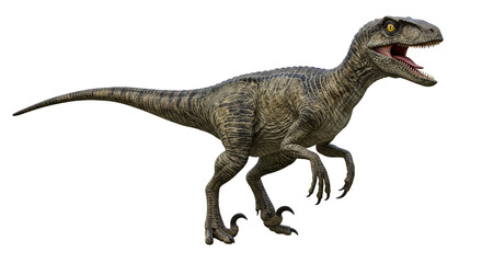 Naklejka premium Side view of a velociraptor with mouth open and claws out against a white background in a studio shot