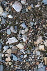 stones on the river