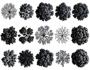 Fototapeta premium Aerial View of Tree Tops in Monochrome Tones on a Black Background