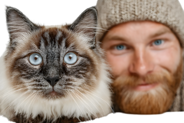 Closeup portrait of a fluffy cat and a bearded man