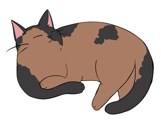 サビ ねこ ひじおき