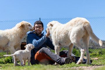 Obraz premium Veterinarian taking care of dogs in a kennel