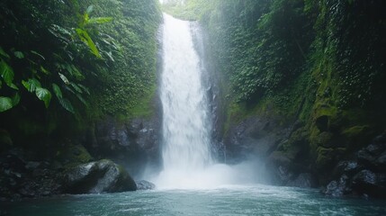 A beautiful waterfall surrounded by vibrant green lush foliage and rocks