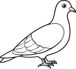 hand drawn dove outline illustration 