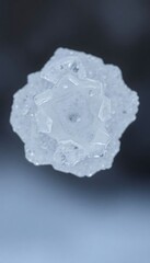 Obraz premium close up of a snowflake on a black background