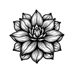 Intricate floral vector illustration exhibiting rhythmic petal arrangement artwork
