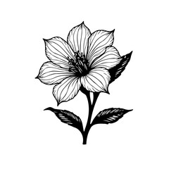 Elegant botanical drawing depicting a stylized flower with refined lines and intricate details