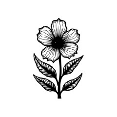 Elegant Floral Illustration: A Delicate Black and White Botanical Design