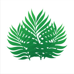 Decorative Tropical Plant Elements