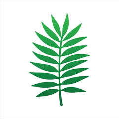 Natural Leaf Elements from the Tropics