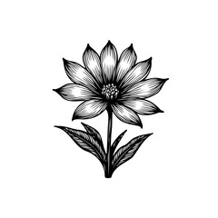 Botanical Illustration: Detailed Black and White Floral Engraving with Delicate Petals