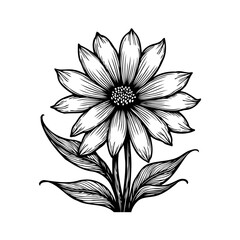 Elegant floral design: A monochromatic botanical illustration with artistic detailing
