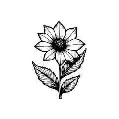 Elegant floral botanical drawing capturing timeless beauty and minimalist charm