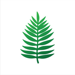 Stylish Tropic Leaves for Design

