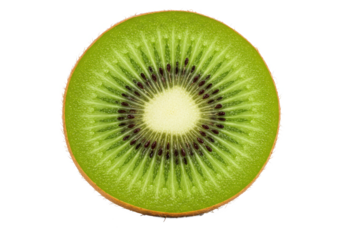 Kiwi fruit cross section isolated on transparent background
