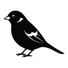 Obraz premium Sparrow Side Profile Vector Silhouette