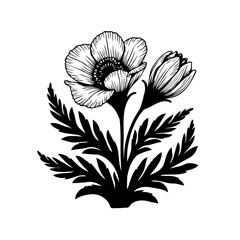 Elegant monochrome botanical drawing featuring blooming flower and a floral bud