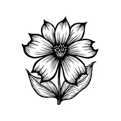 Elegant botanical illustration of a flower with intricate linework and delicate detail