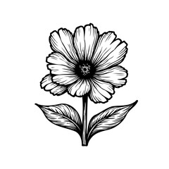 Elegant floral line art illustration with intricate details on a white canvas