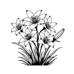 Elegant monochrome depiction of lily flowers blooming in detailed linework illustration