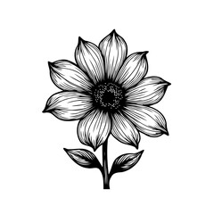 Intricate floral drawing showcasing botanical elegance and detailed linework