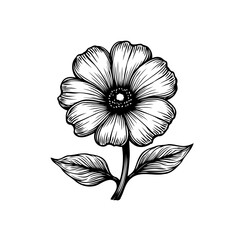 Fototapeta premium Elegant botanical illustration of a blooming flower with intricate details