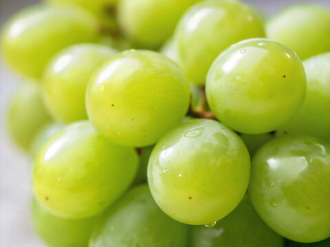 bunch of grapes. fruit, green, food, grapes, grape, fresh, healthy, bunch, white, ripe, isolated, vine, vegetarian, diet, sweet, nature, health, berry, organic, wine, juicy, natural, agriculture, appl