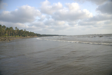 Scenic sky view with soft clouds and birds flying freely, capturing the beauty of nature, freedom, and tranquility