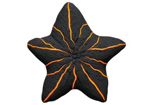 Glowing Lava Starfish Volcanic Rock Texture Design
