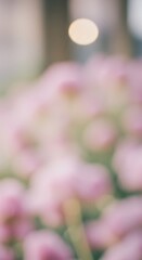 Fototapeta premium Soft pink blooms bathed in blurred light