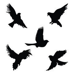 Flying Bird Silhouette Vector Set, Elegant Birds in Flight for Nature and Wildlife Design.