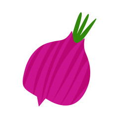 red onion illustration