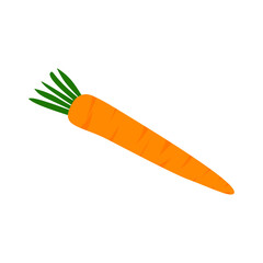 carrot illustration