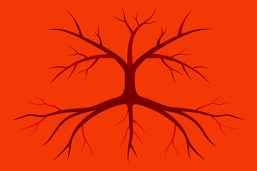 Fototapeta premium silhouette of tree