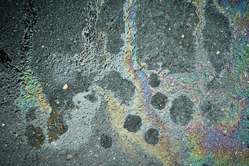 Oil remnants on wet pavement create vibrant patterns in different hues, reflecting light and forming a unique visual display after recent rainfall.