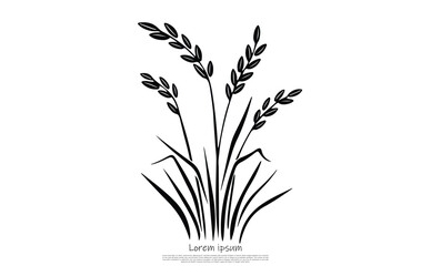 Black Silhouette of Floral Grass Weeds on White, Botanical, Nature