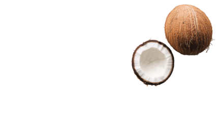 coconut on a white background cut lengthwise