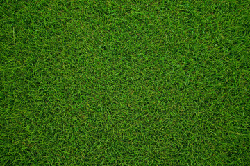 Lush Green Grass Texture Background Nature Spring Summer Field