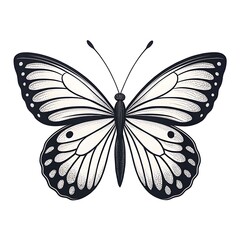Beautiful black and white butterfly vector