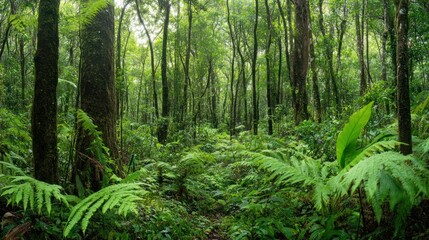A vibrant image depicting a lush green tropical rainforest