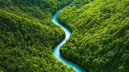 Winding river in lush green valley, vibrant trees lining banks, serene nature scene promoting tranquility and outdoor exploration.