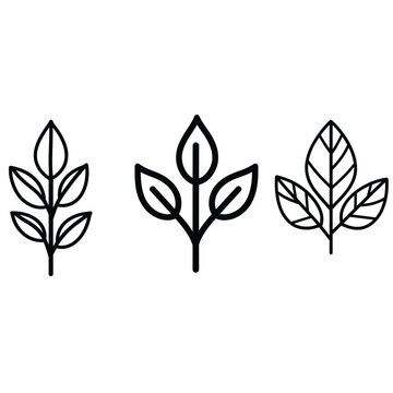 Leaf icon set. Vector illustration. Isolated on white background.