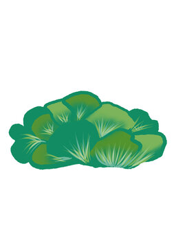 seaweed, seaweed vector, ocean seaweed, marine seaweed, underwater seaweed, seaweed illustration, seaweed clipart, seaweed png, cartoon seaweed, cute seaweed, realistic seaweed, seaweed design, 