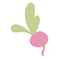 illustration vector vegetables