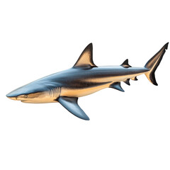 Fototapeta premium Sleek predatory shark swimming effortlessly in the deep aquatic environment