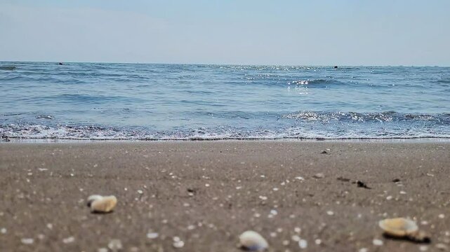 a video of small waves crashing onto the shore